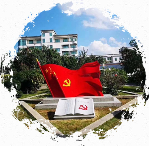 專(zhuān)業(yè)團(tuán)隊(duì)
